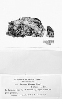 Image Associated With the Occurence
